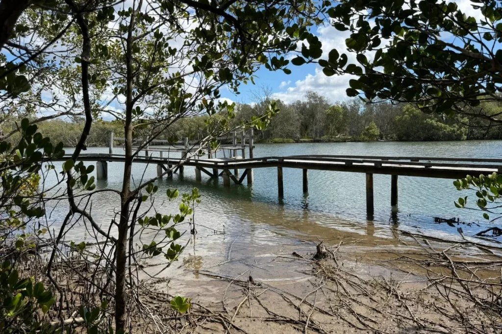 Nudgee Beach Boardwalk