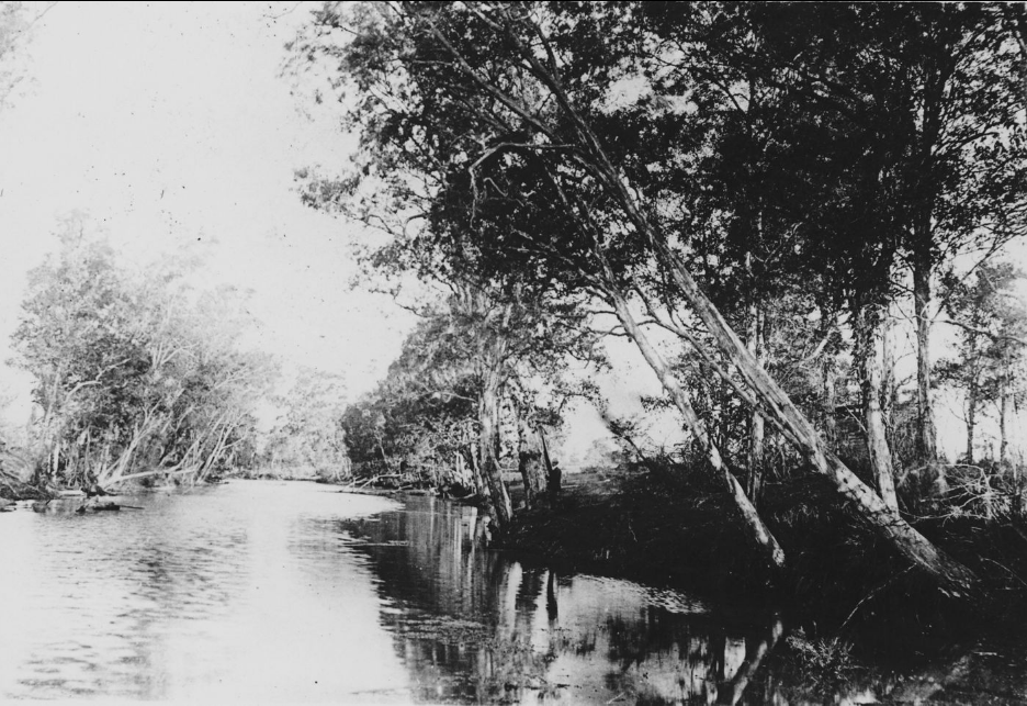 Toombul Swimming Hole